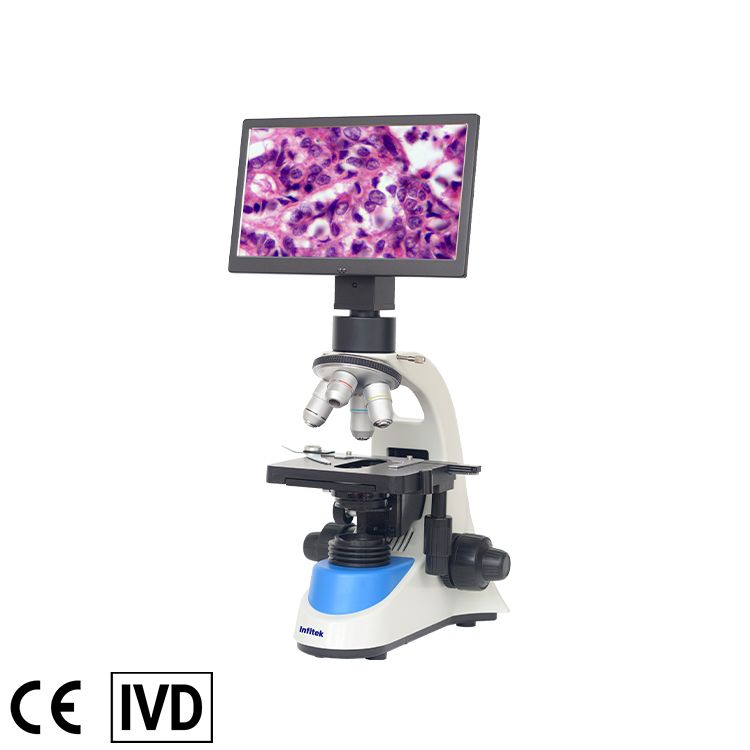 Microscope numérique MSC-V208 avec écran 10 pouces | Microscope professionnel